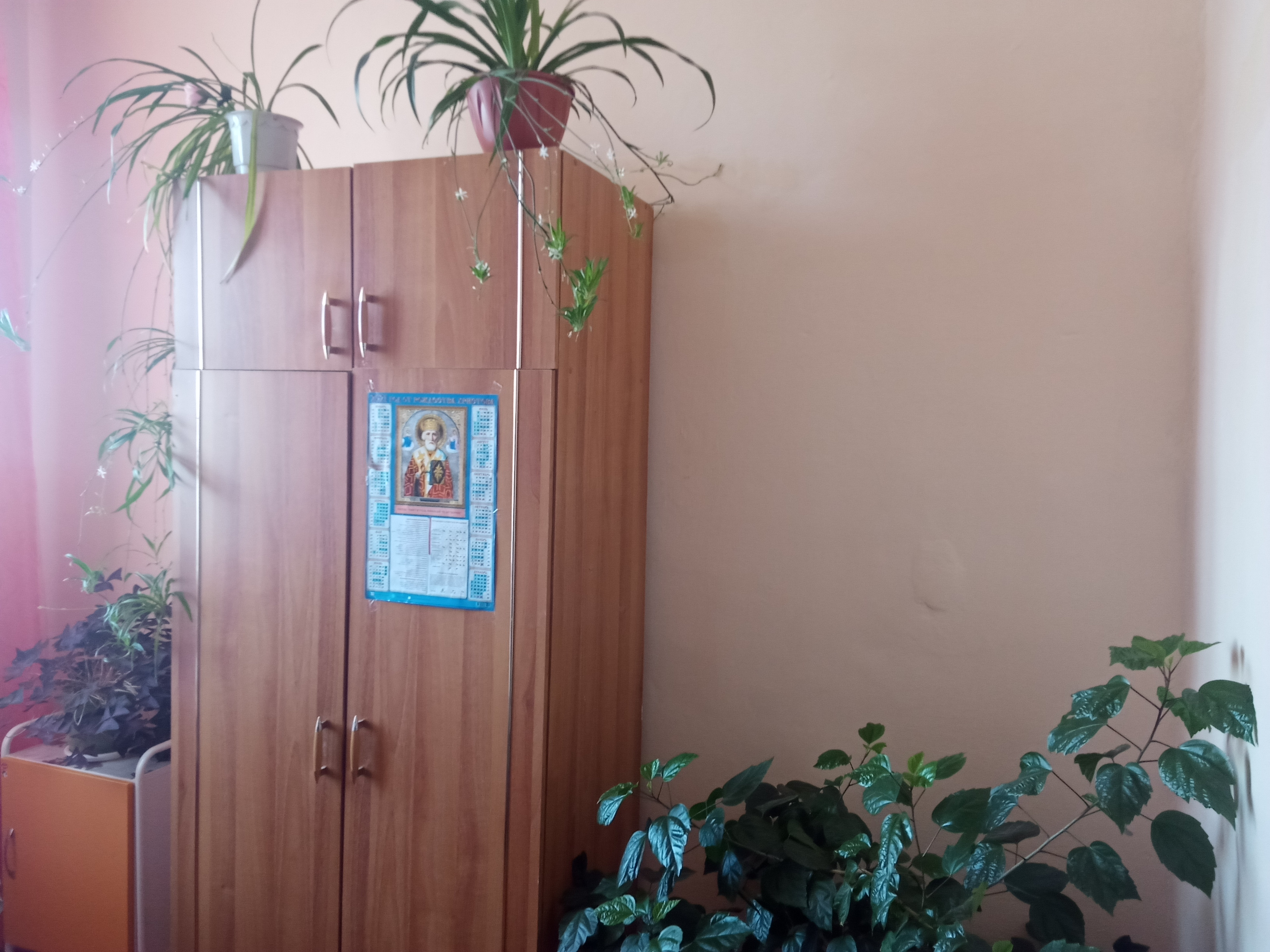 Лето на окошке
